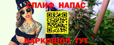 прущие грибы Коммунар